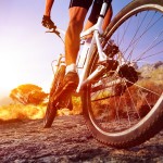 low angle view of cyclist riding mountain bike on rocky trail at