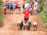 iten1