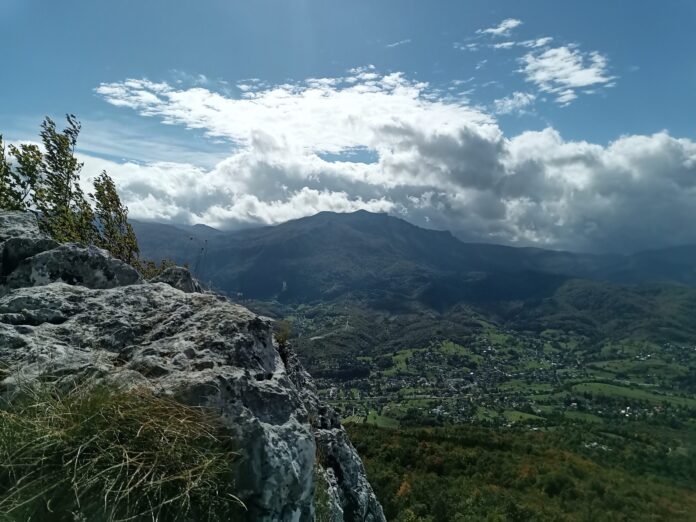 ormanj